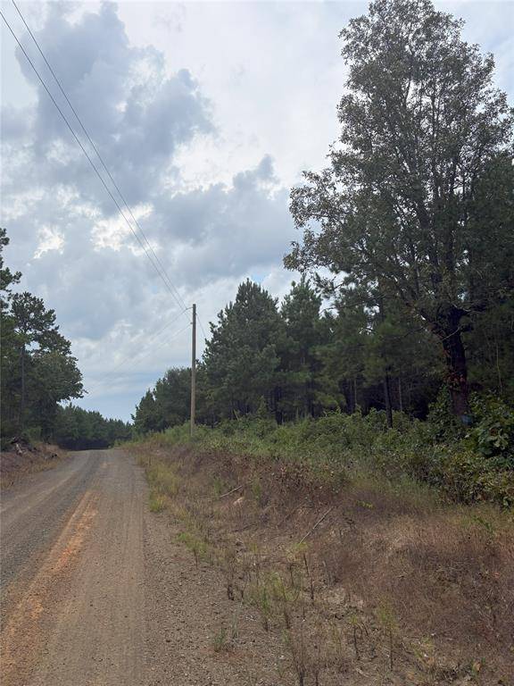 1388 County Road 1060, Center, TX 75935