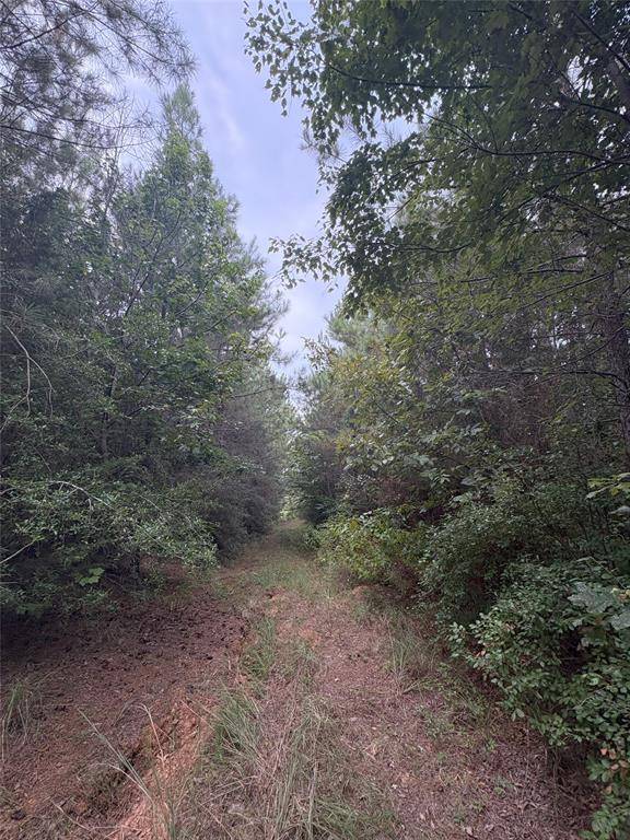 1388 County Road 1060, Center, TX 75935