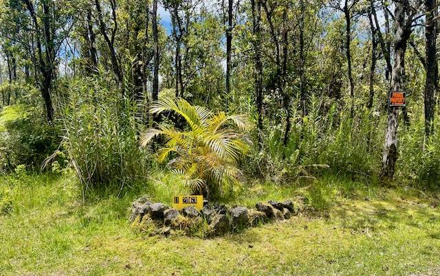 KOKOKAHI RD, Volcano, HI 96785