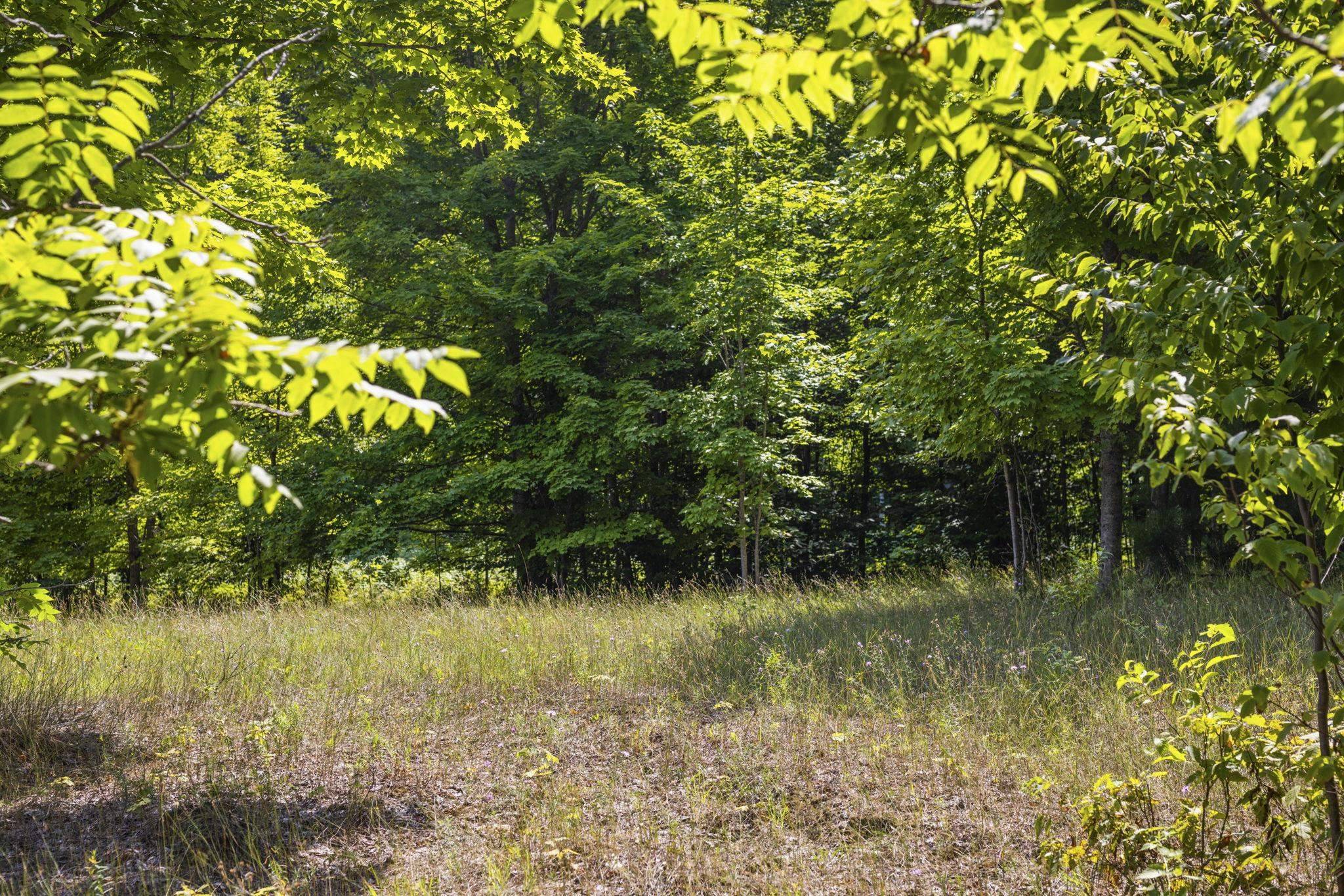 S Hill RD, Solon Twp, MI 49621