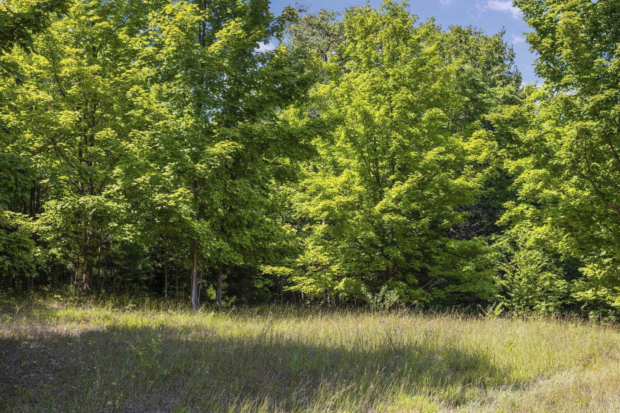 S Hill RD, Solon Twp, MI 49621