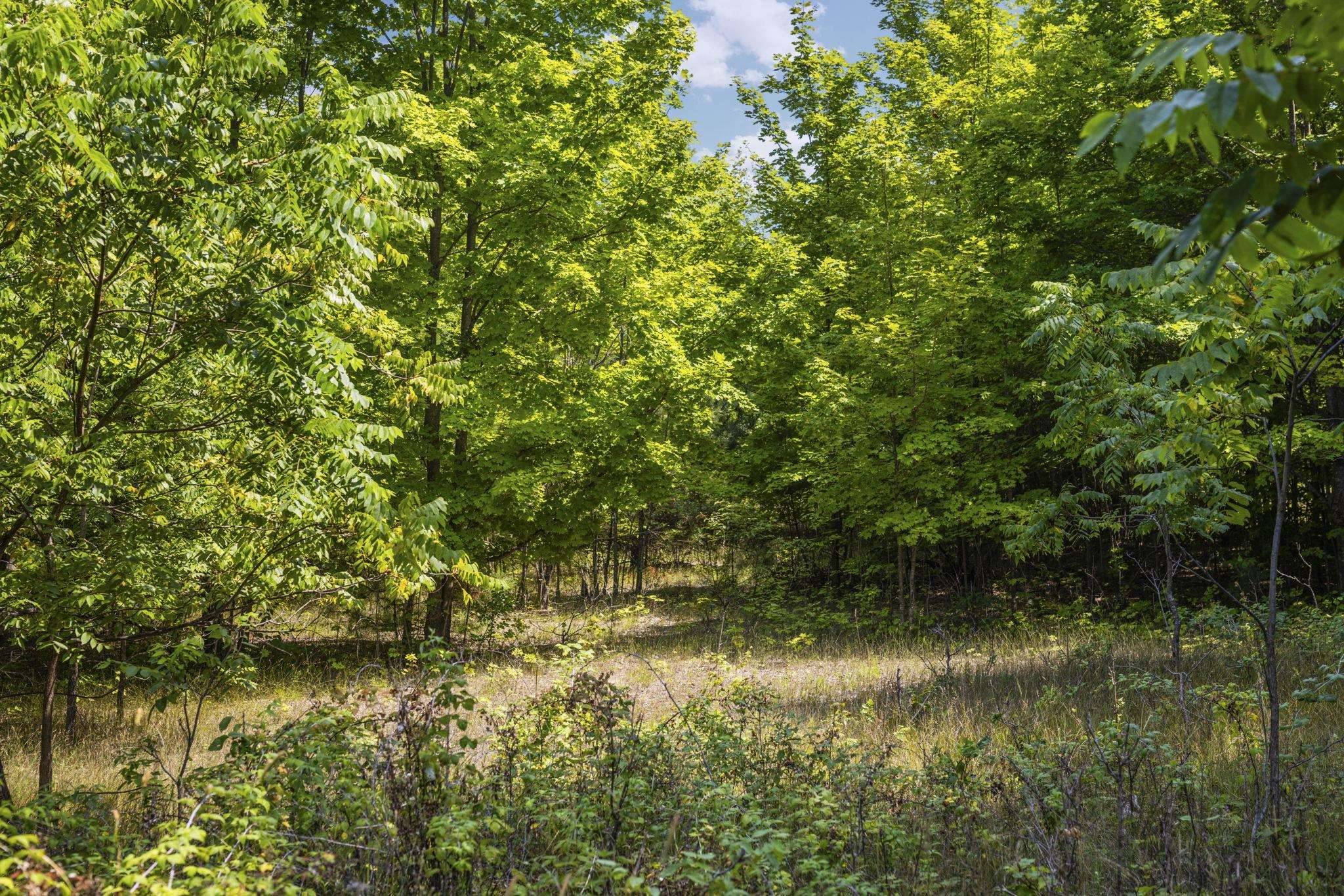 S Hill RD, Solon Twp, MI 49621