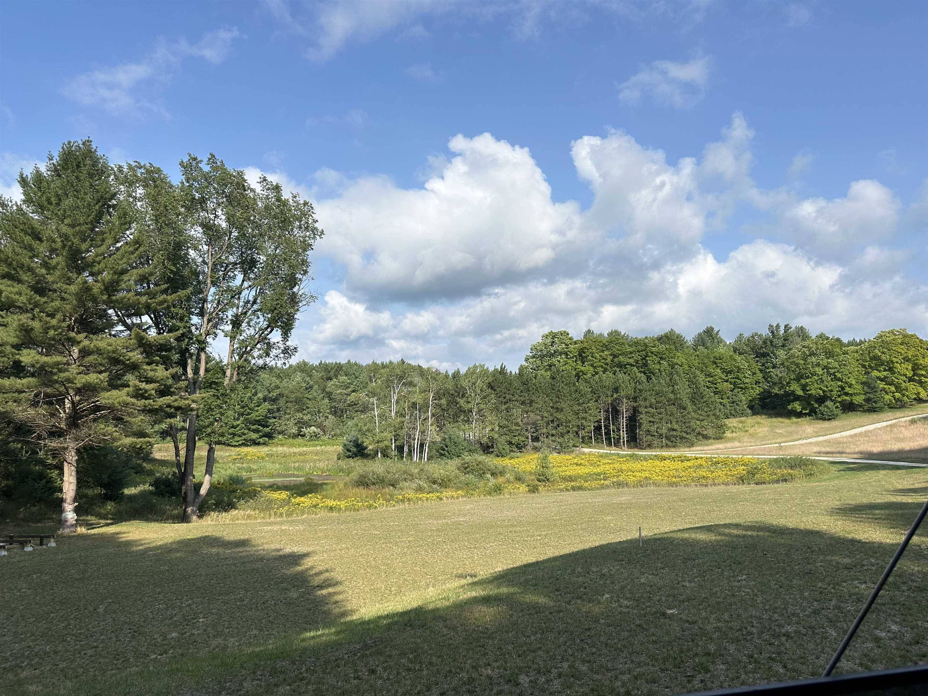 3383 NW Dockery RD, Kalkaska Twp, MI 49690