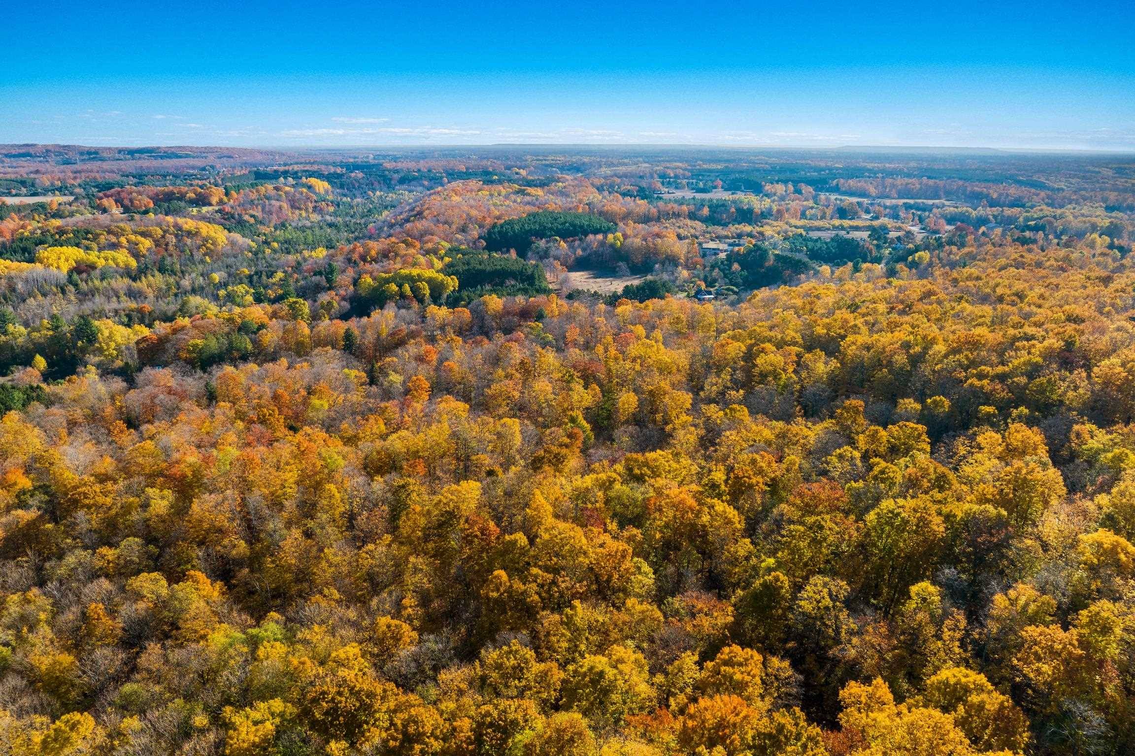 1452 Case RD, Benzonia Twp, MI 49616