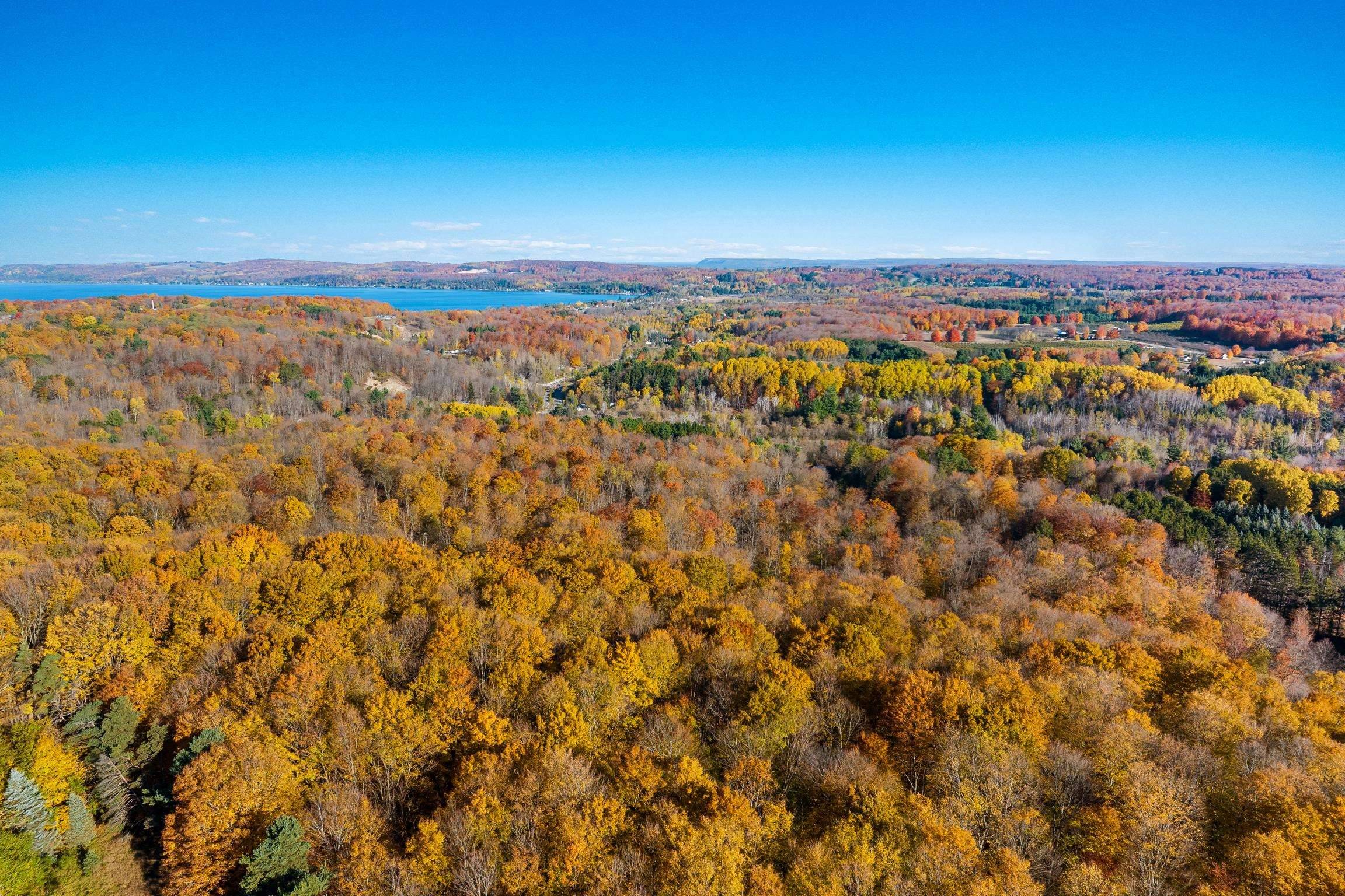 1452 Case RD, Benzonia Twp, MI 49616