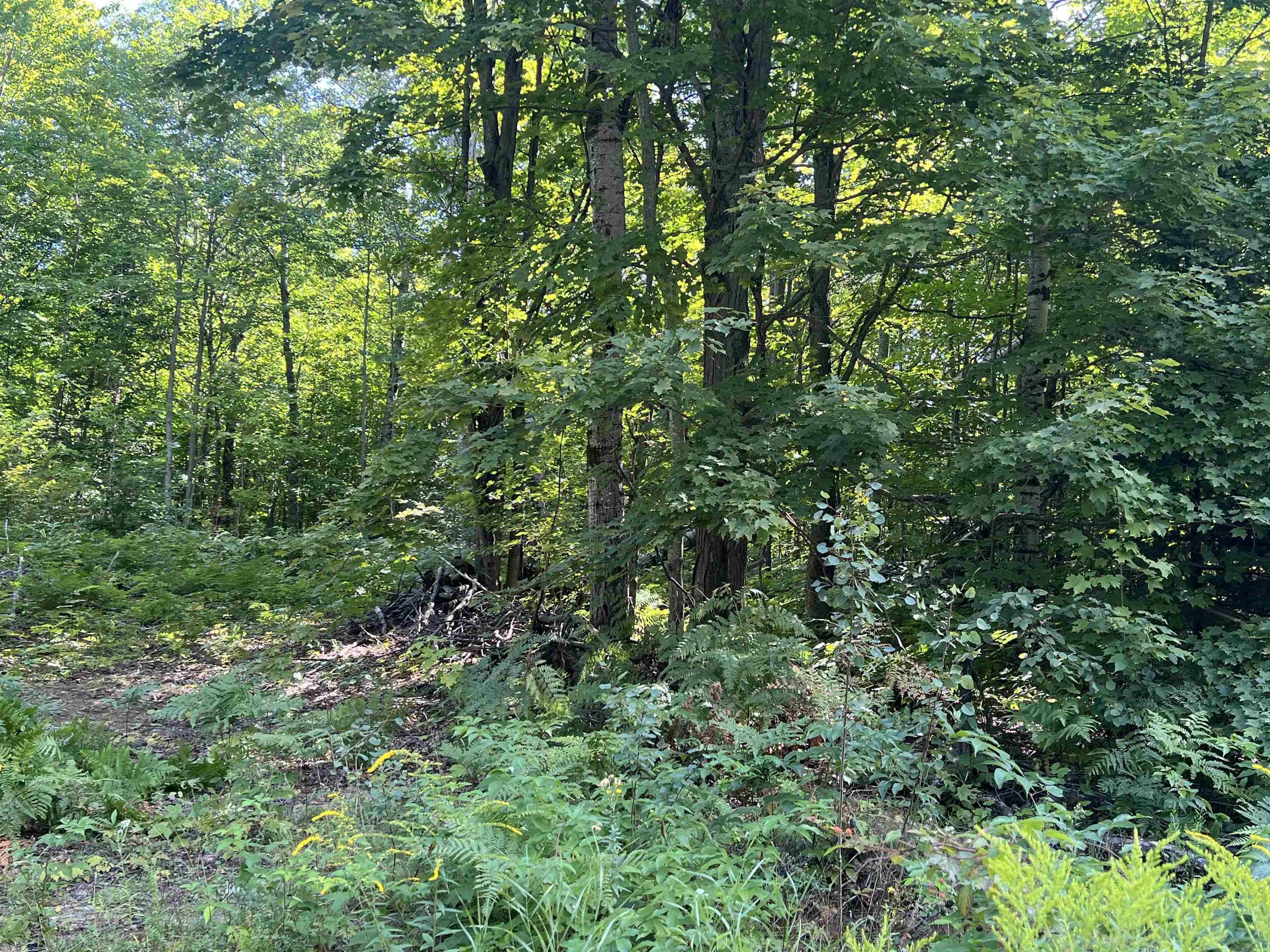 4192 Toat RD, Coldsprings Twp, MI 49646