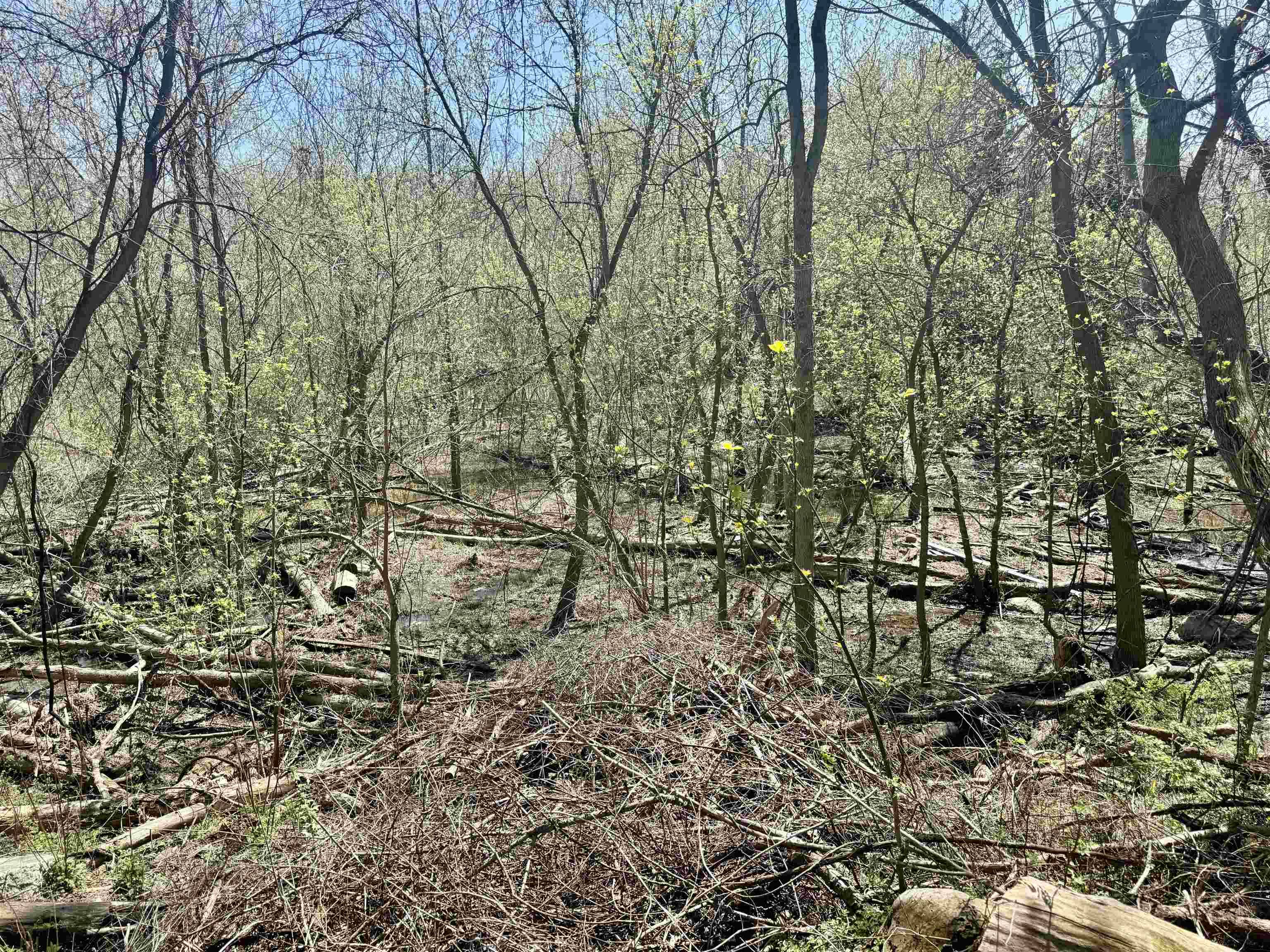 11000 Riverside DR, Bethany Twp, MI 48880