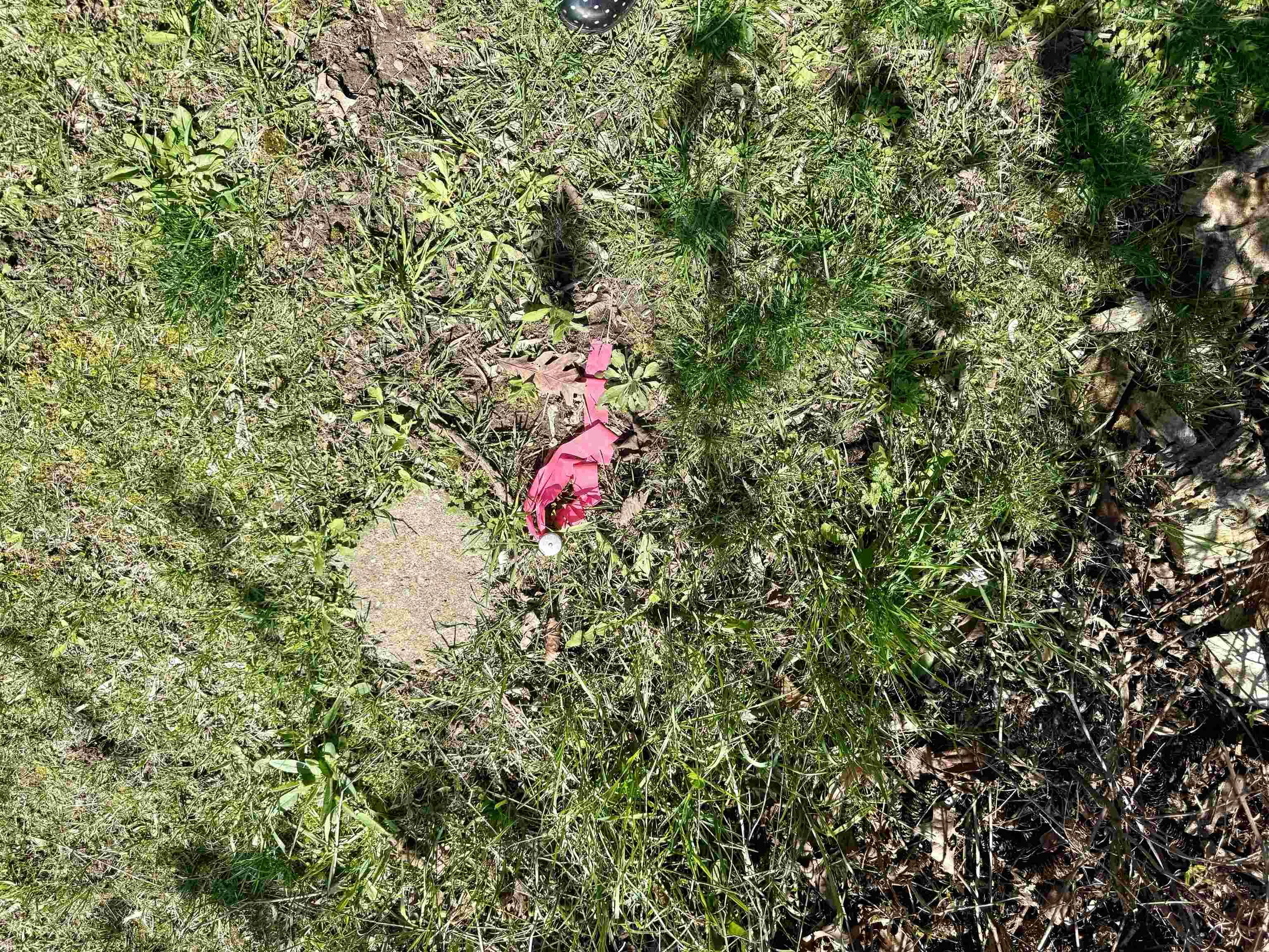 11000 Riverside DR, Bethany Twp, MI 48880