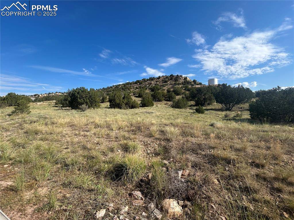 110 Hideaway TRL, Rockvale, CO 81244
