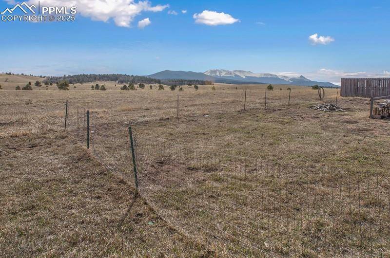 338 Doublet LN, Divide, CO 80814