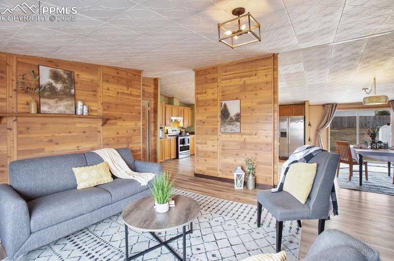 338 Doublet LN, Divide, CO 80814