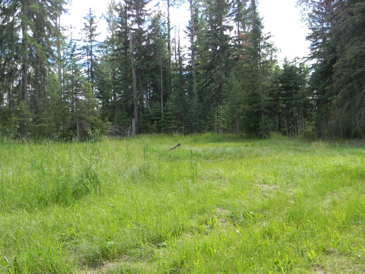 131 Meadow Ponds DR, Rural Clearwater County, AB T4T 1A7