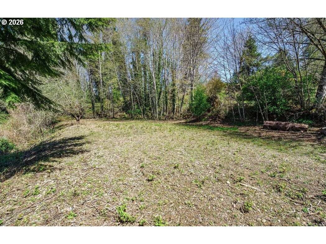 81217 BEAR RD, Seaside, OR 97138