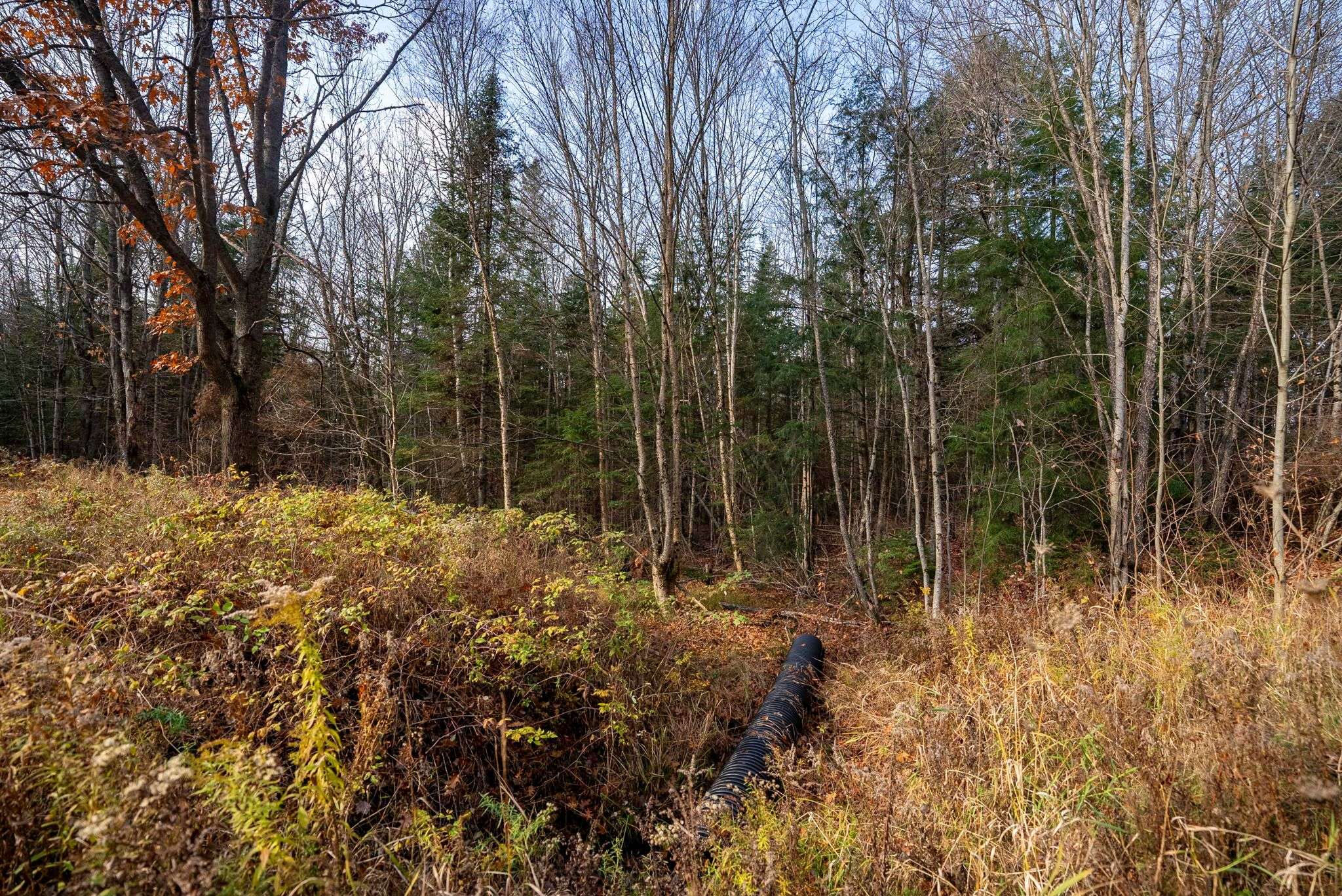 181 Clarkes LN, Huntsville, ON P0B 1M0