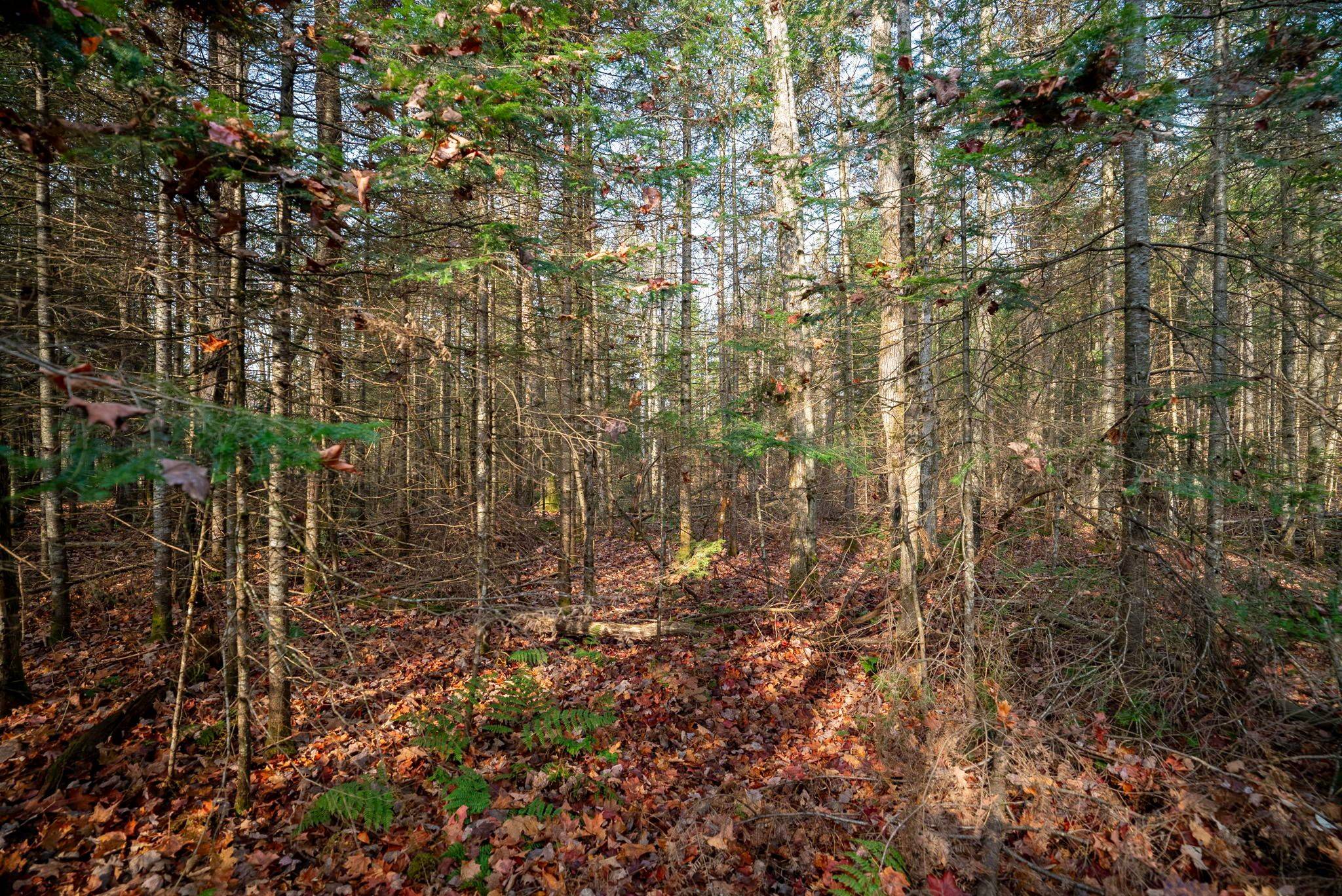 181 Clarkes LN, Huntsville, ON P0B 1M0