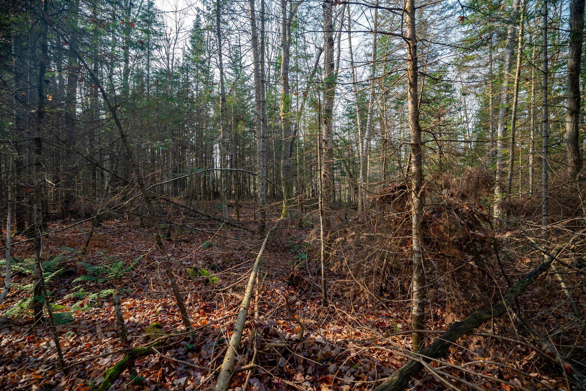 181 Clarkes LN, Huntsville, ON P0B 1M0