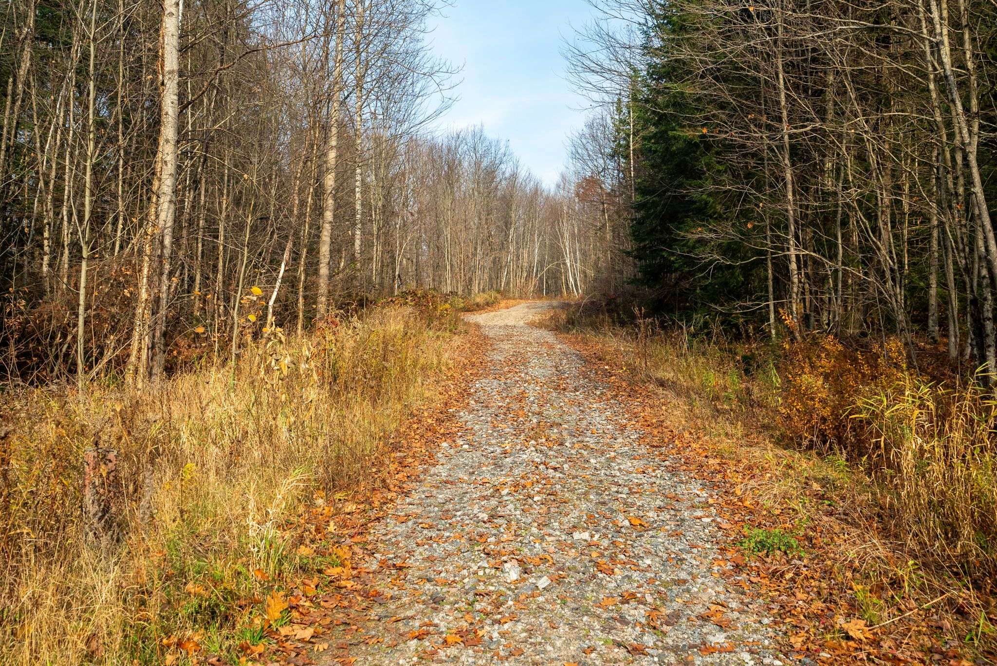 181 Clarkes LN, Huntsville, ON P0B 1M0