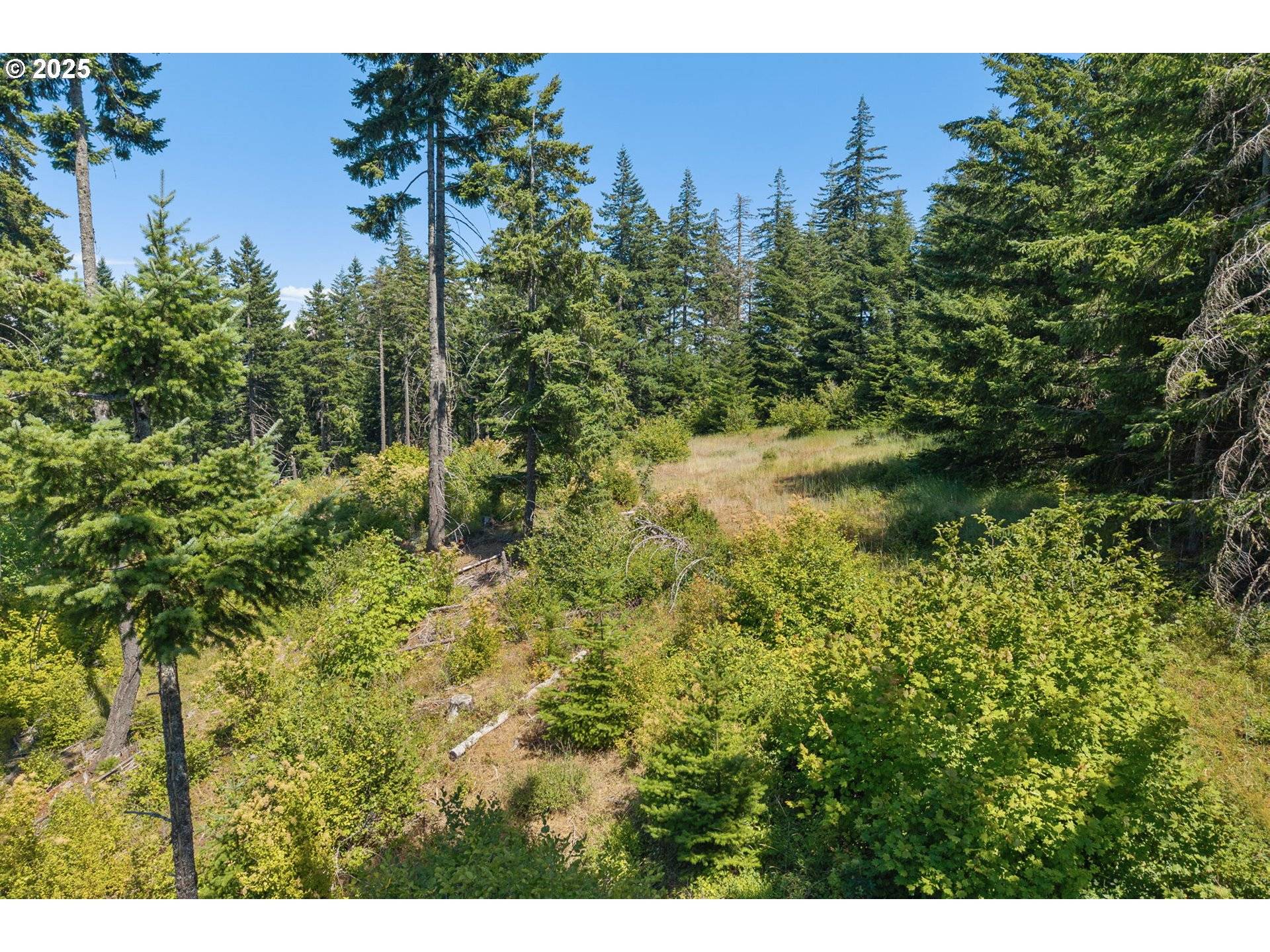 15 BROOKSIDE DR, White Salmon, WA 98672