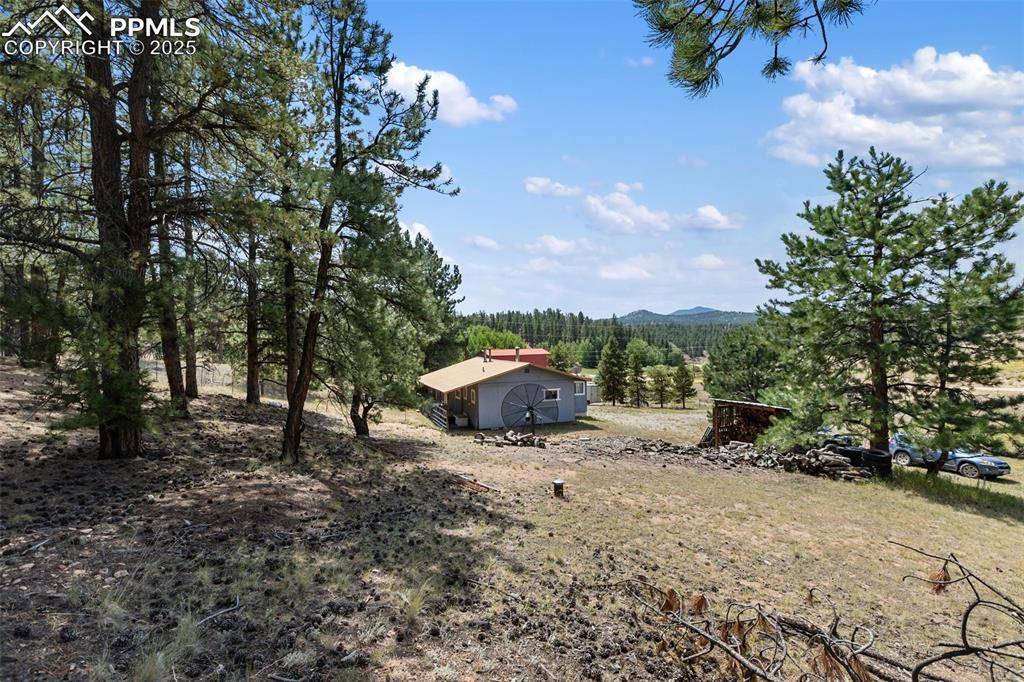 272 Spring Valley TRL, Florissant, CO 80816