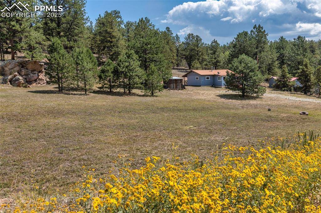 272 Spring Valley TRL, Florissant, CO 80816