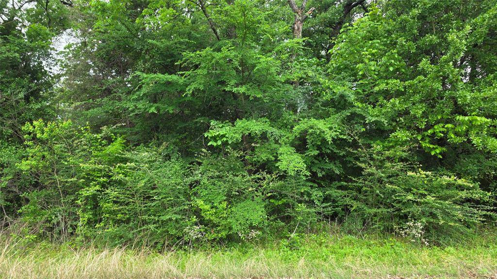 TBD Morning Dove Road, Trinidad, TX 75163