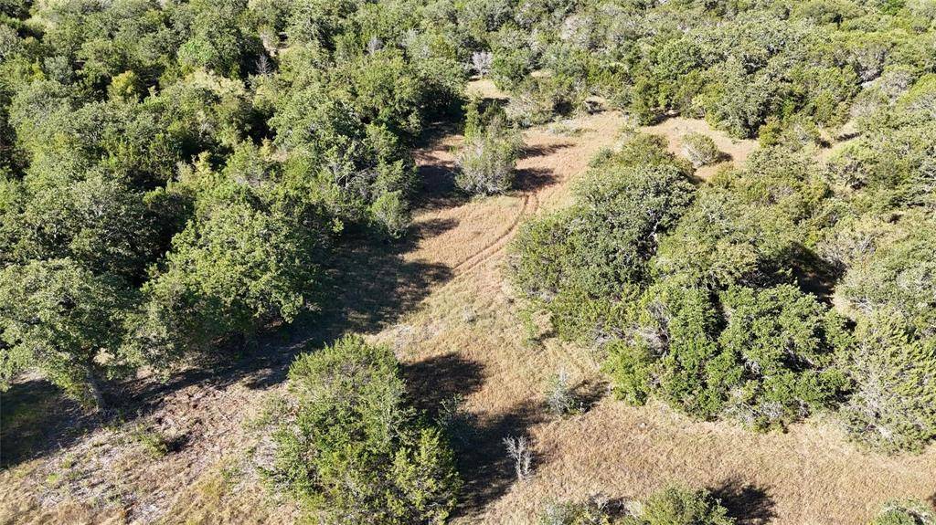 Lot 110 Davenport Road, Palo Pinto, TX 76484