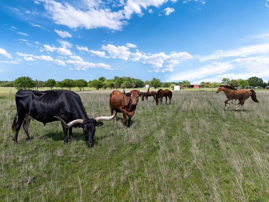00 B Vz County Road 3804, Wills Point, TX 75169