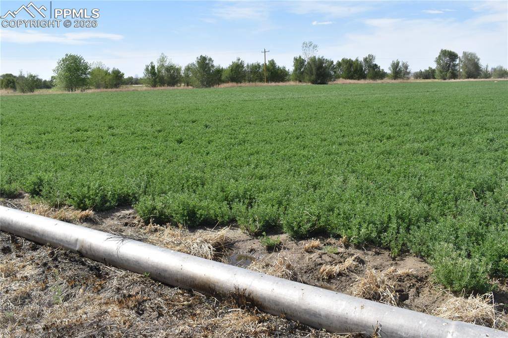 12521 County Road JJ, Manzanola, CO 81058