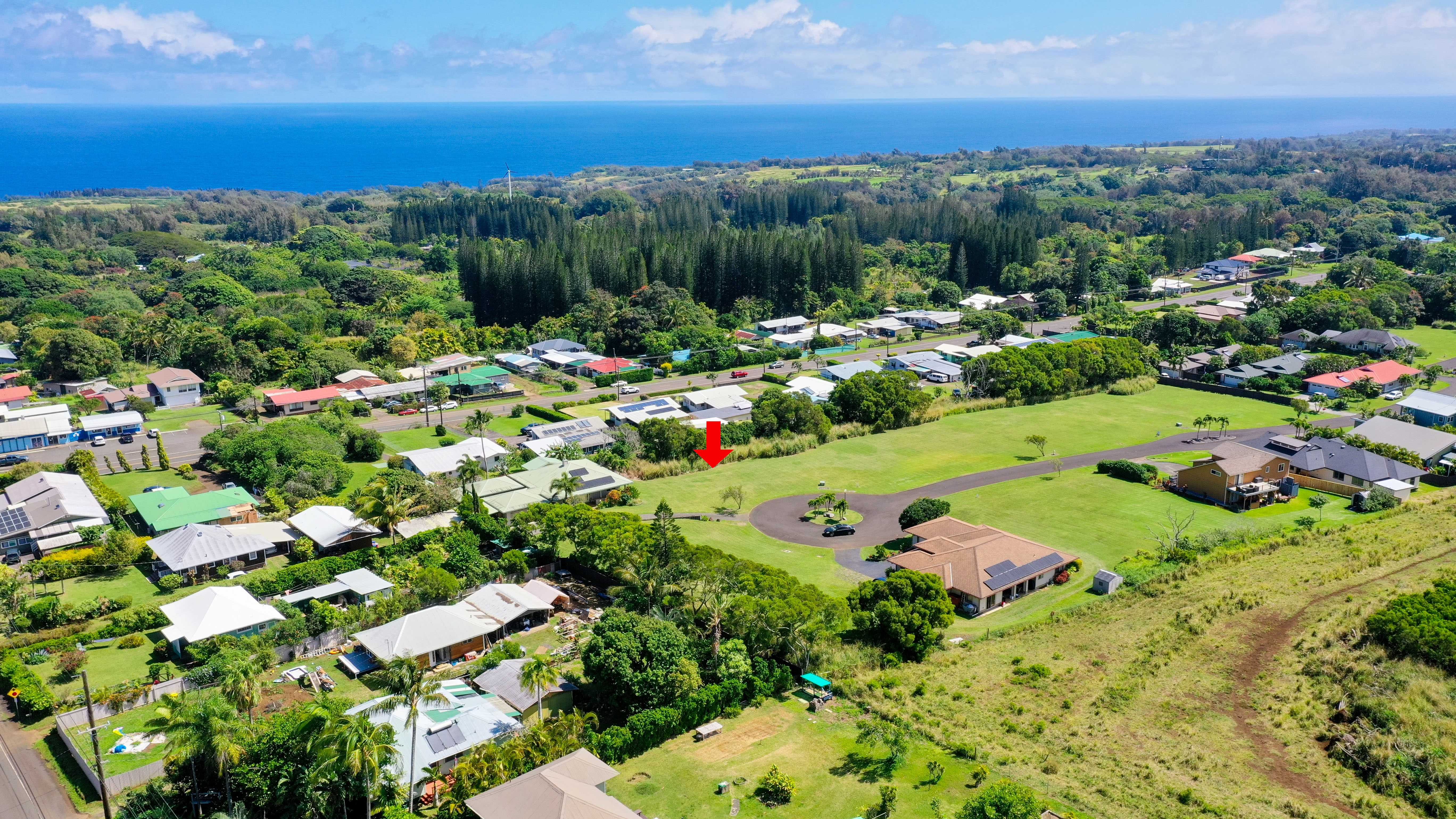 54-3703 LEHUULA CIRCLE, Kapaau, HI 96755