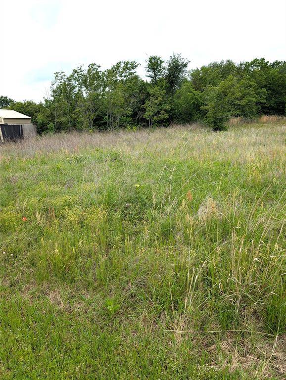 0 Meadow Heath Drive, Gun Barrel City, TX 75156