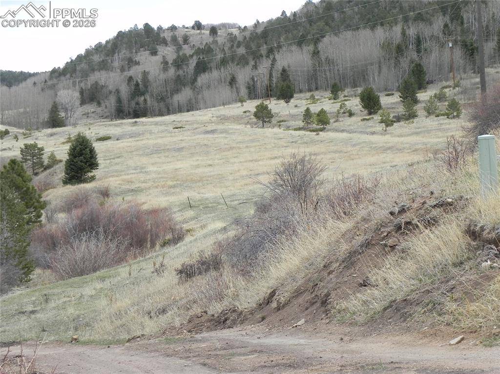 521 Monarch DR, Cripple Creek, CO 80813