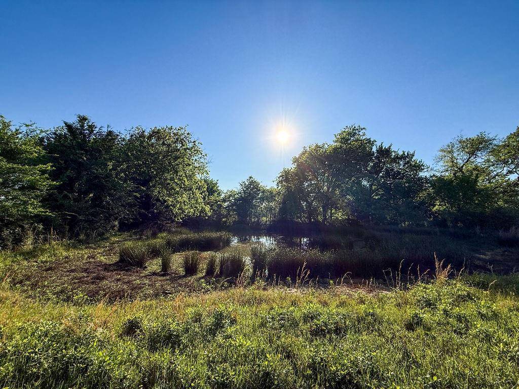 TBD County Road 1165, Brashear, TX 75420