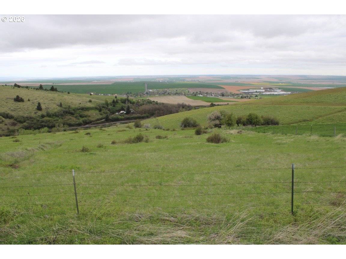 52823 Kirk RD, Weston, OR 97886