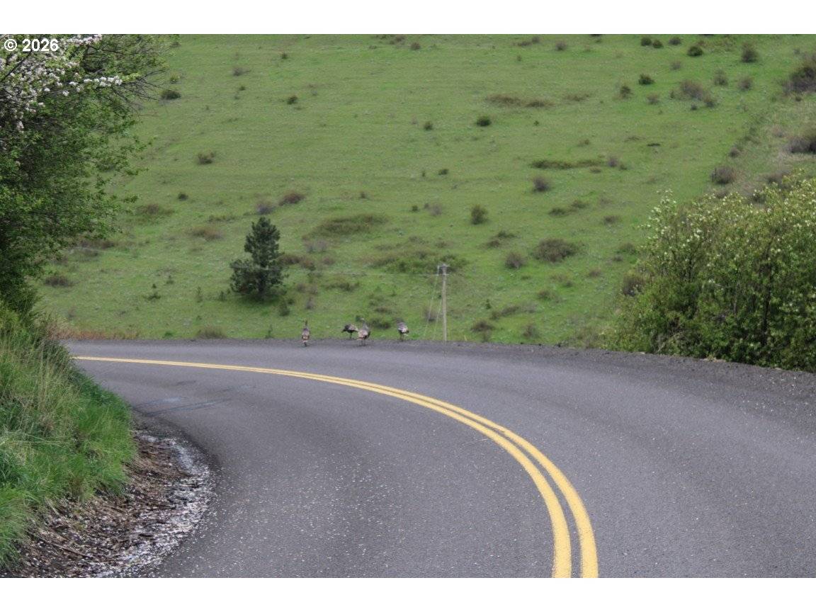 52823 Kirk RD, Weston, OR 97886