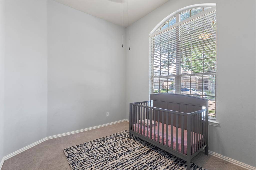 1729 Shoebill Drive, Little Elm, TX 75068