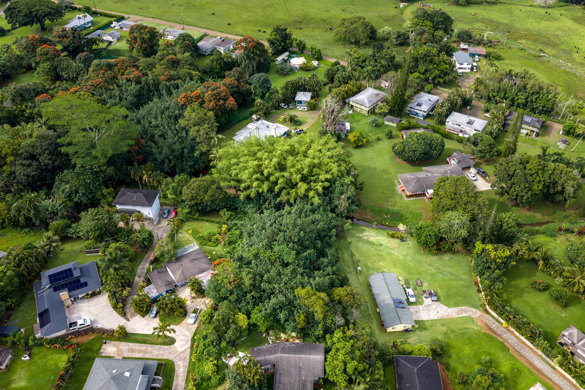 KALAMA RD, Kapaa, HI 96746
