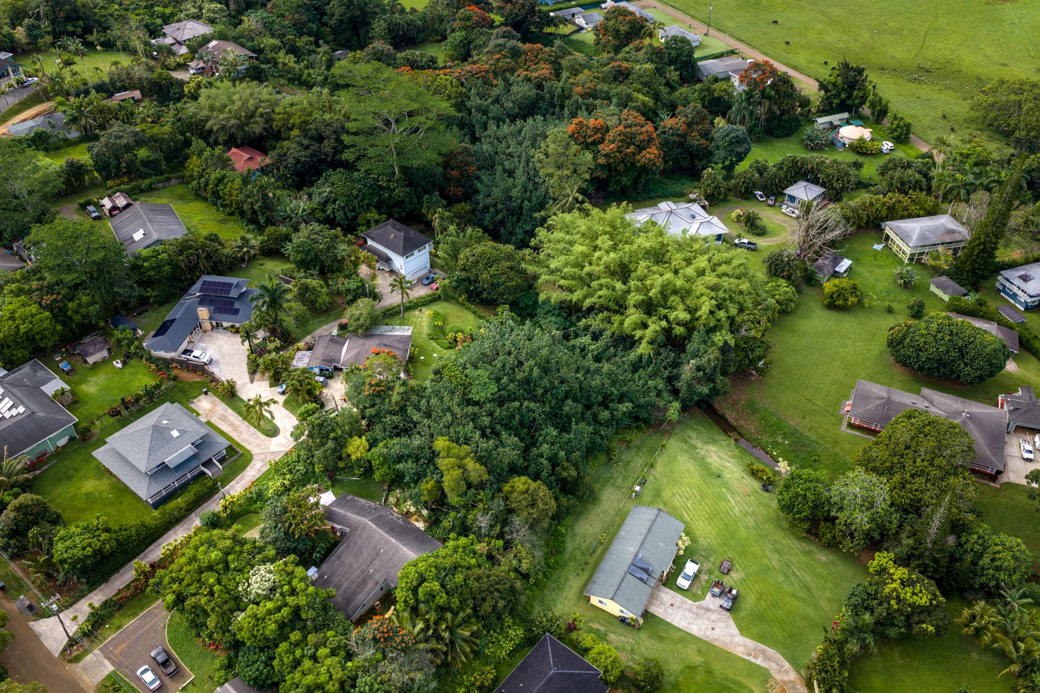 KALAMA RD, Kapaa, HI 96746