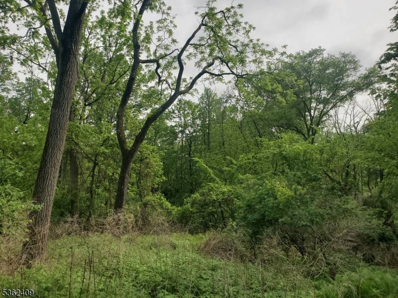 0 Beavers Street, High Bridge Boro, NJ 08829