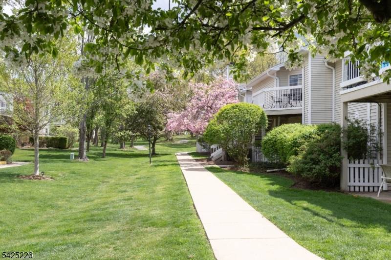 90 Mayfield Road Ondo #90, Bedminster Twp., NJ 07921