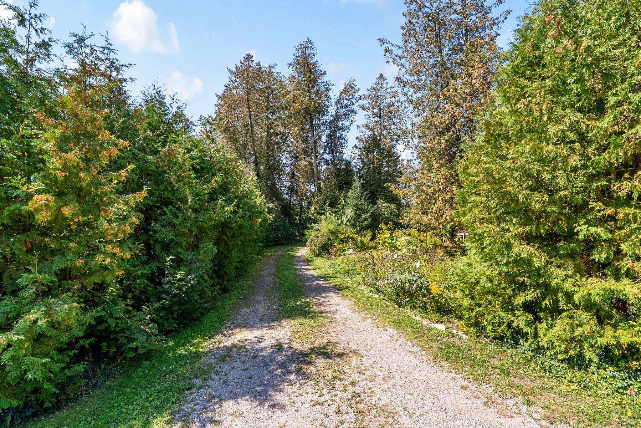 86585 Amberley Beach RD S, Ashfield-colborne-wawanosh, ON N2Z 2X3