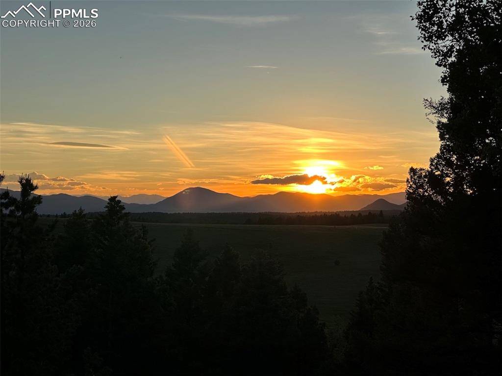 4600 Elk Valley RD, Divide, CO 80814