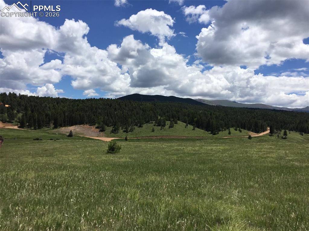 4600 Elk Valley RD, Divide, CO 80814