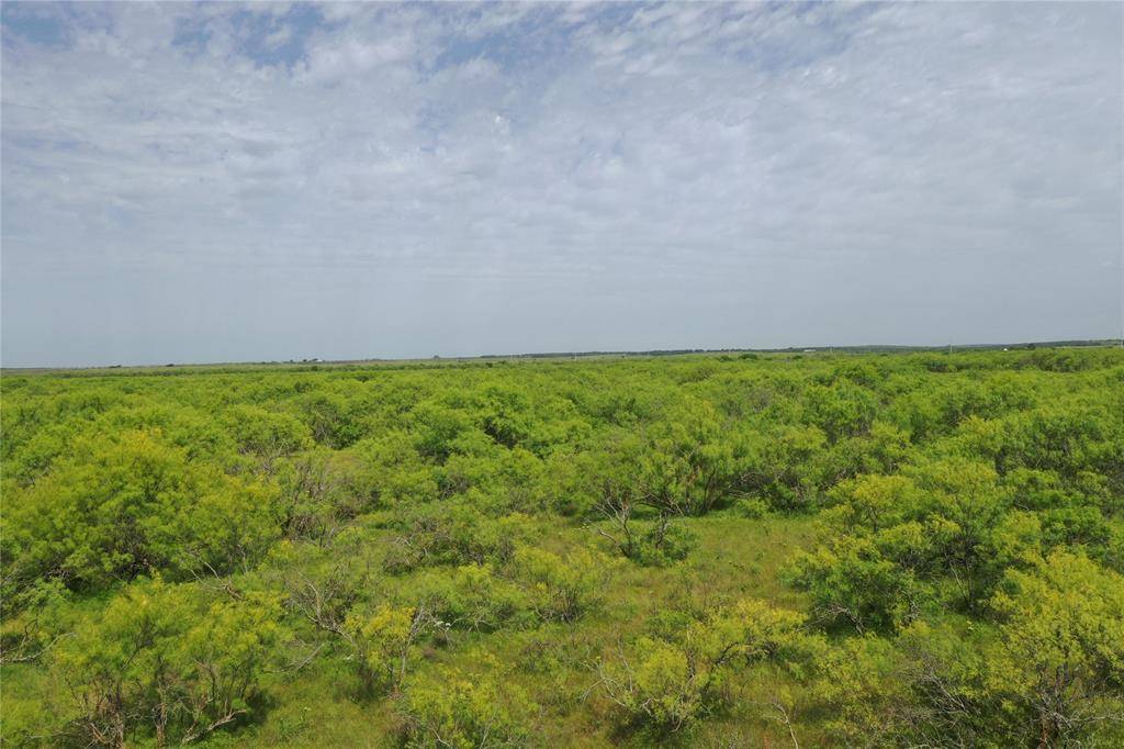 TBD McDonald Rd-TRACT 7, Bellevue, TX 76228
