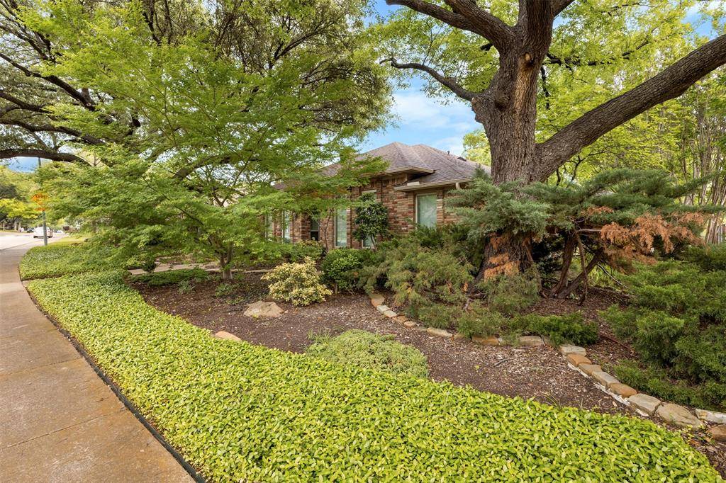 9906 Chimney Hill Lane, Dallas, TX 75243