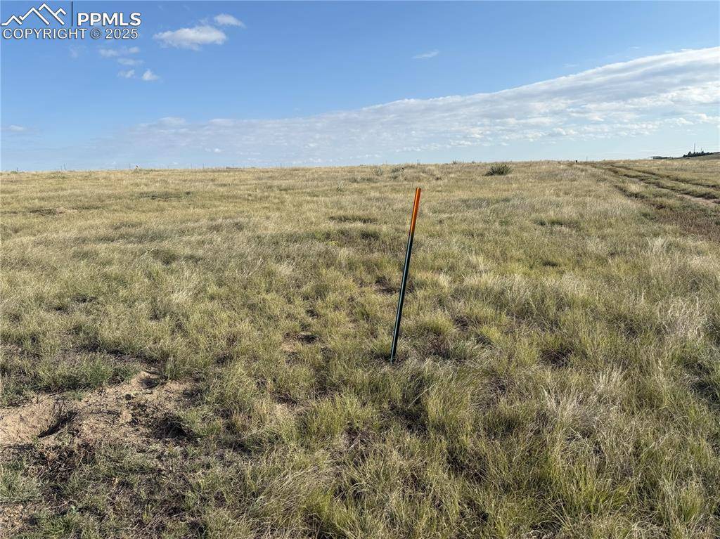 12325 Prairie Sun PT, Colorado Springs, CO 80929