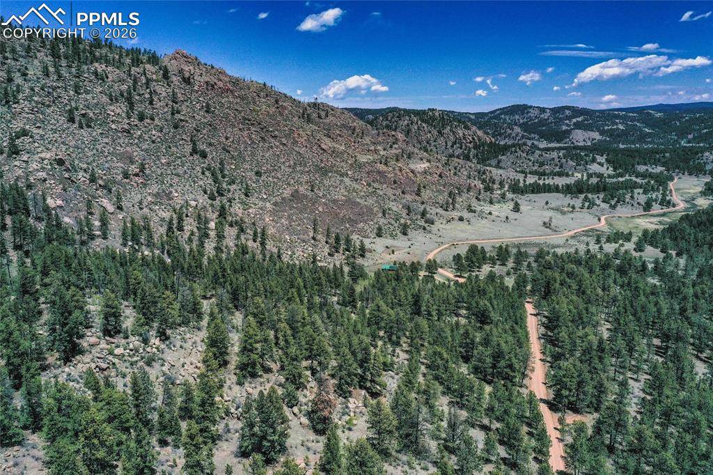 437 Langnis RD, Guffey, CO 80820