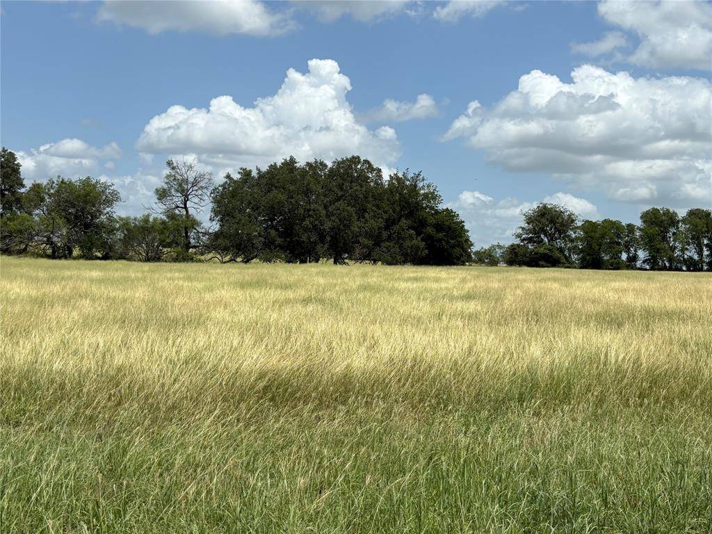 Lot 4 Old Patton Road, Valley Mills, TX 76689