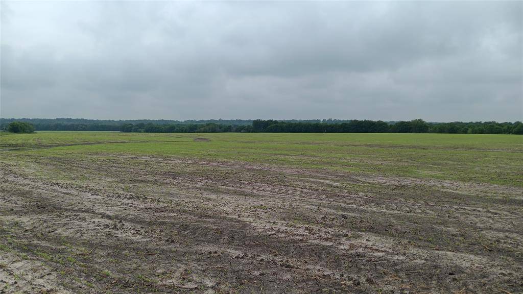 TBD CR494 N, Chilton, TX 76632