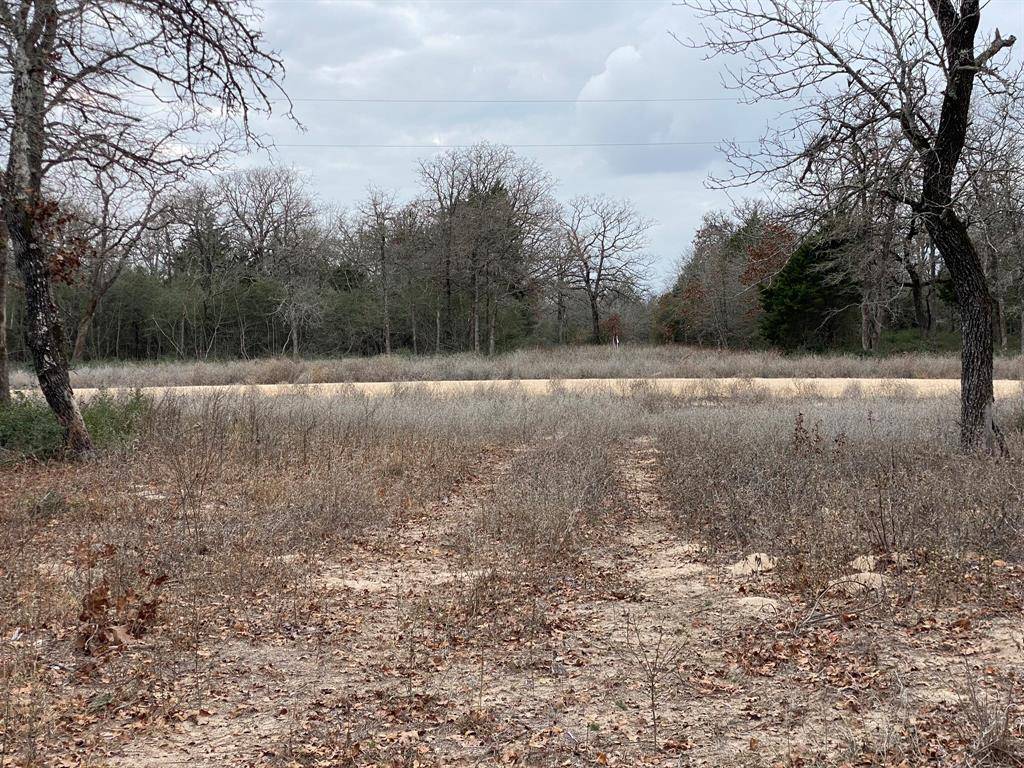 1215 Walleye Creek, Lexington, TX 78947