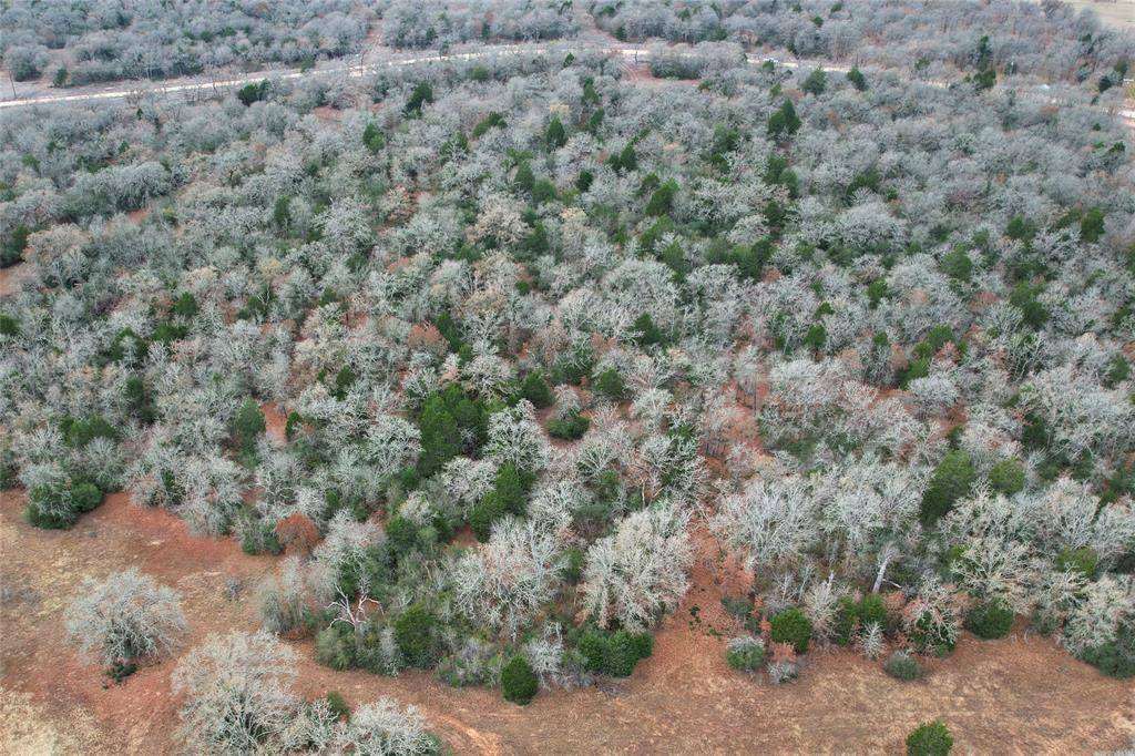 1215 Walleye Creek, Lexington, TX 78947